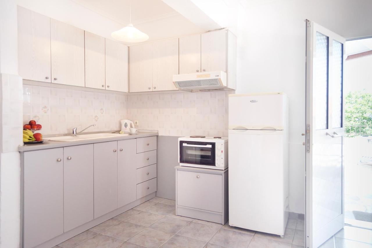 بوليخرونو Anatoli Apartments Polichrono المظهر الخارجي الصورة